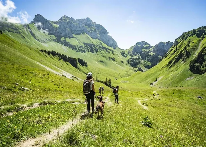 In With Valley Views